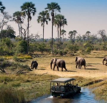 Tanzania Lodge Safari