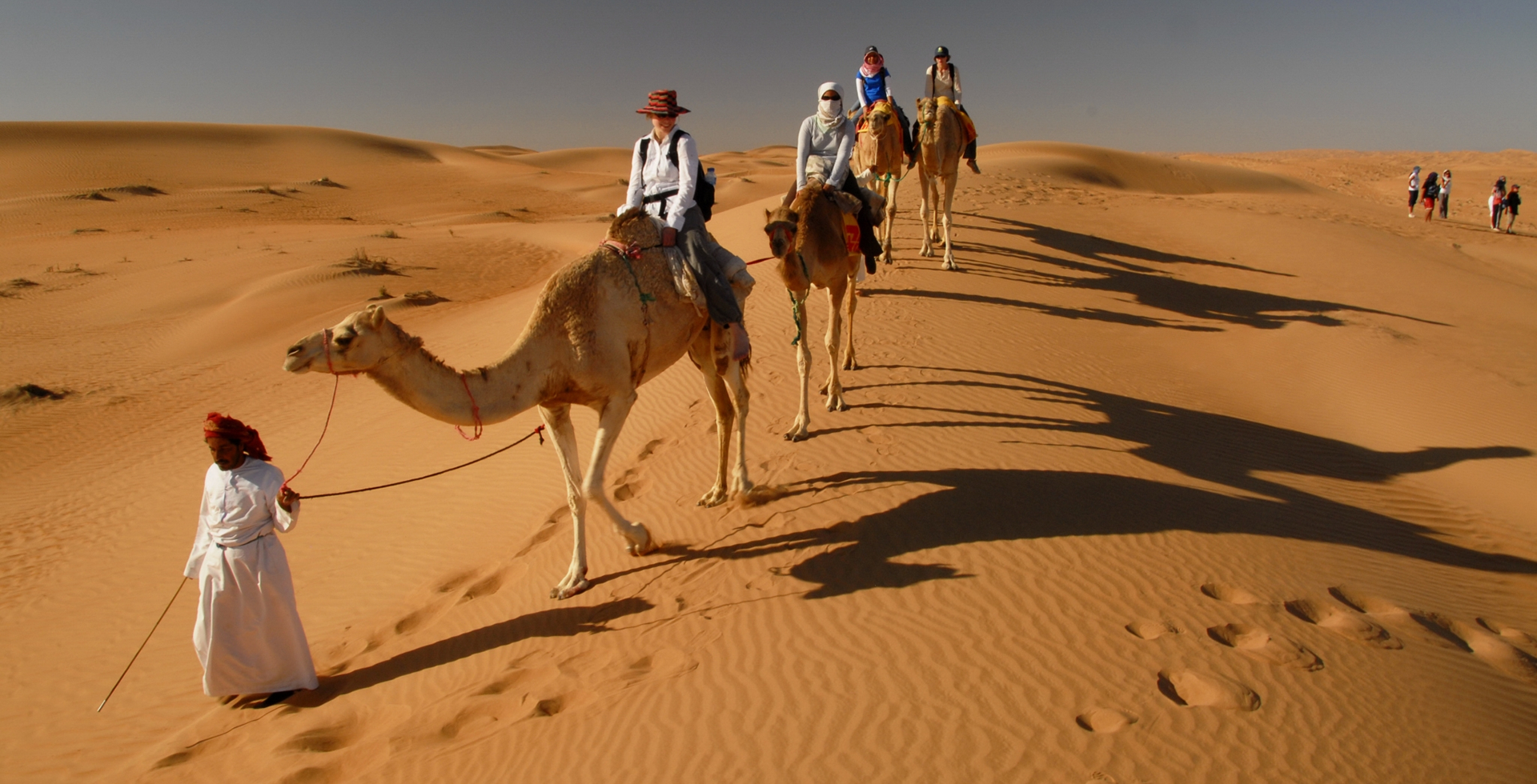 camel.jpg