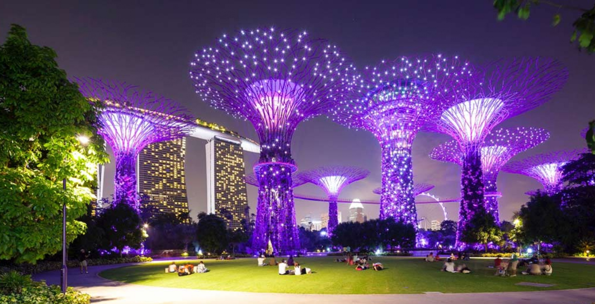 garden-by-the-way2.jpg