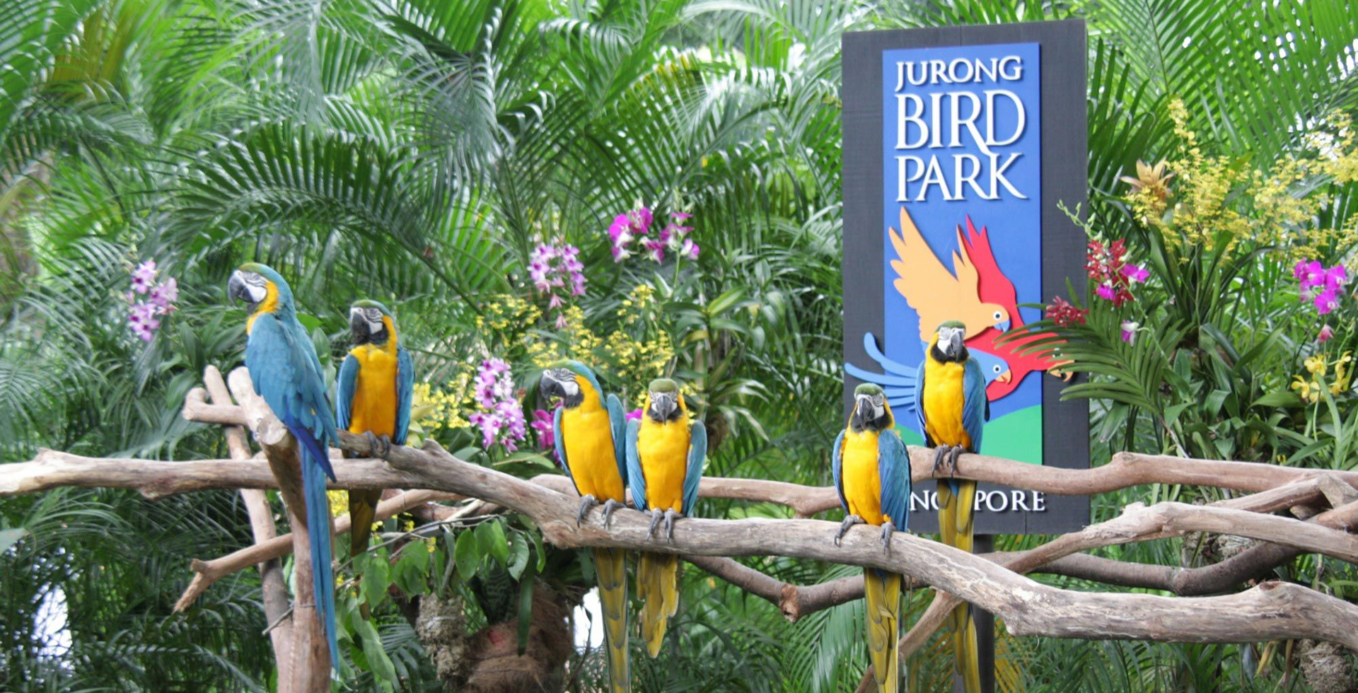 jurong-bird-park1.jpg