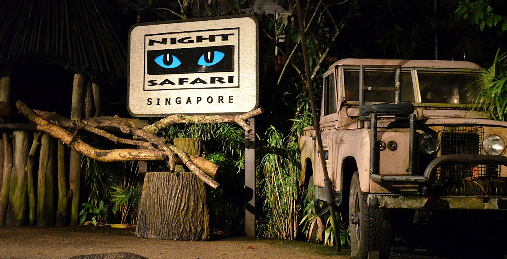 night-safari.jpg
