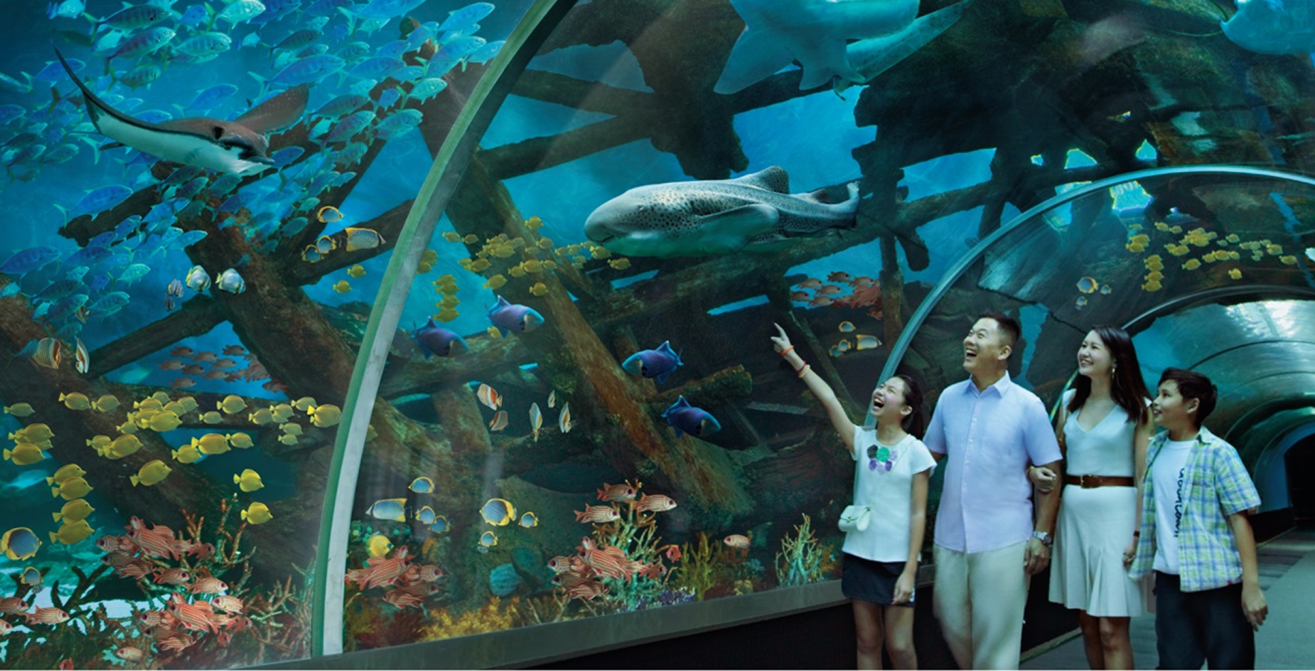 sea-aquarium2.jpg